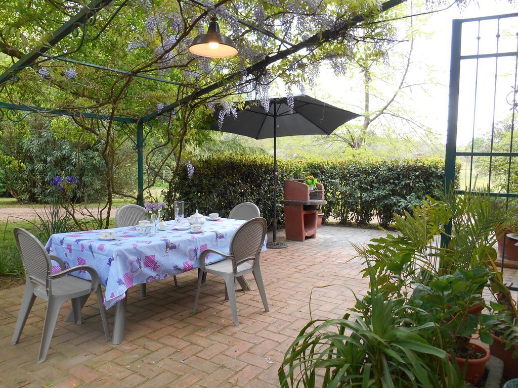 Fioralice Guest House Fauglia Екстериор снимка