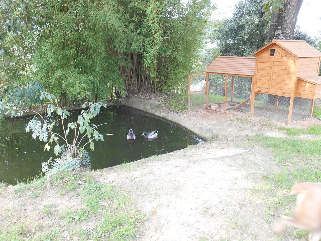 Fioralice Guest House Fauglia Екстериор снимка
