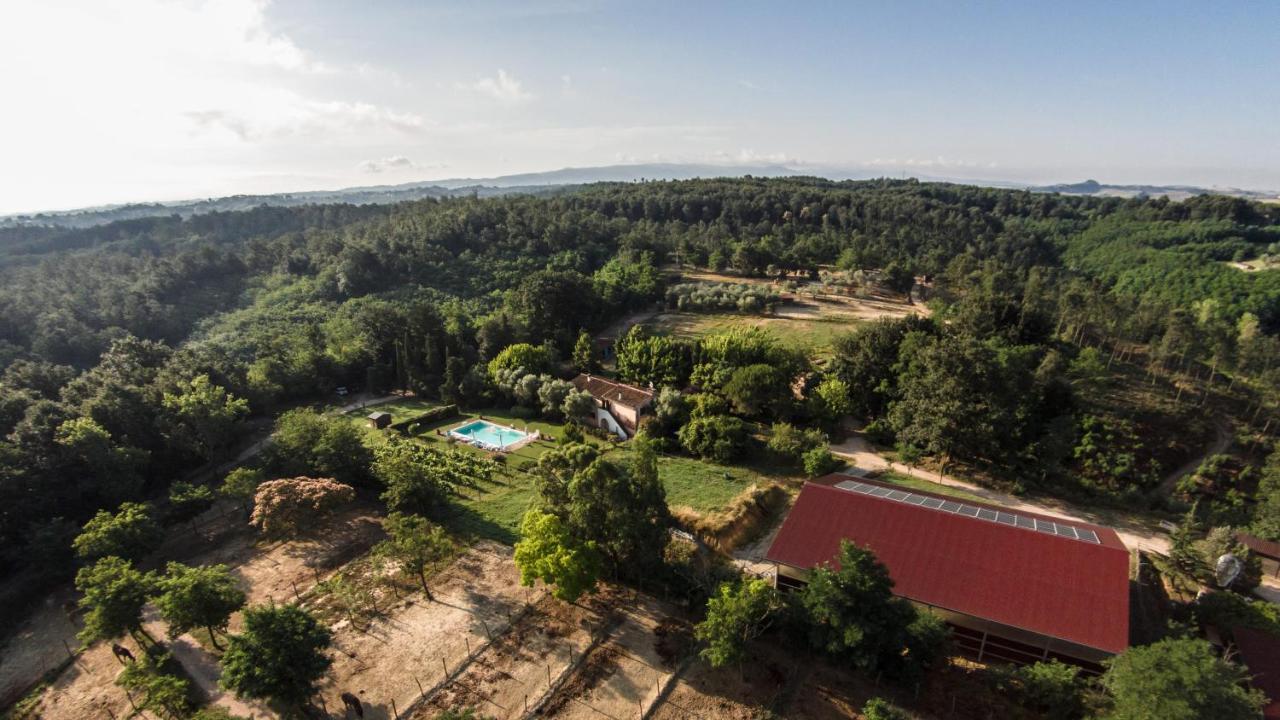 Fioralice Guest House Fauglia Екстериор снимка